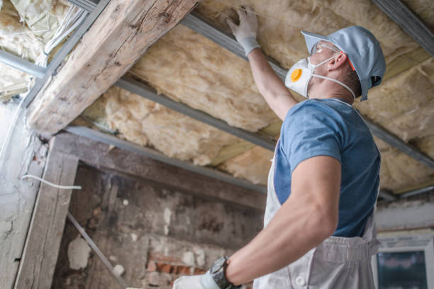 Best Geographic-Specific Insulation Services in Jackson, GA