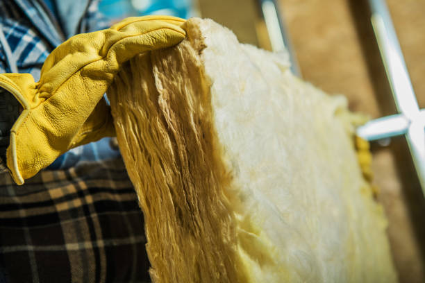 Best Eco-Friendly Insulation in Jackson, GA