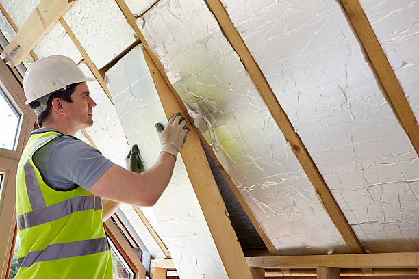 Best Insulation Maintenance and Repair in Jackson, GA