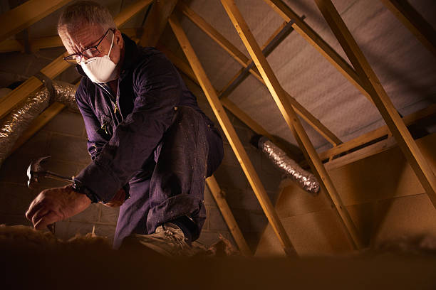 Trusted Jackson, GA Insulation Contractor Experts