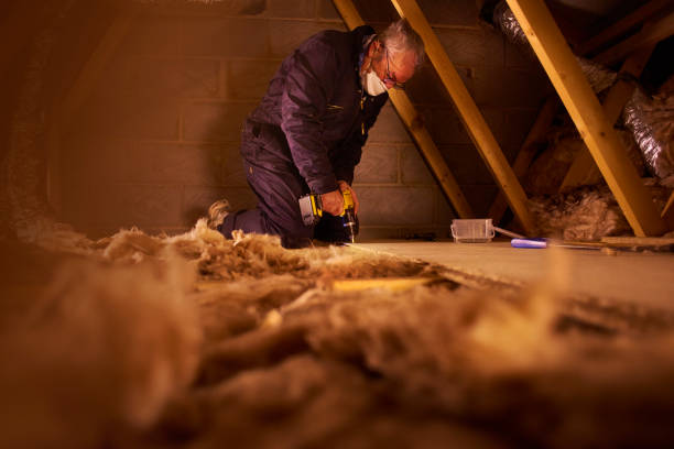 Types of Insulation We Offer in Jackson, GA